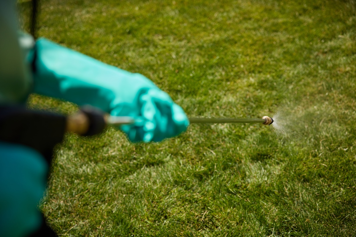 Service pro spraying customer's lawn